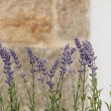 Aparrtment Terra- Combine Beach&Old Town Apartamento Split Exterior foto