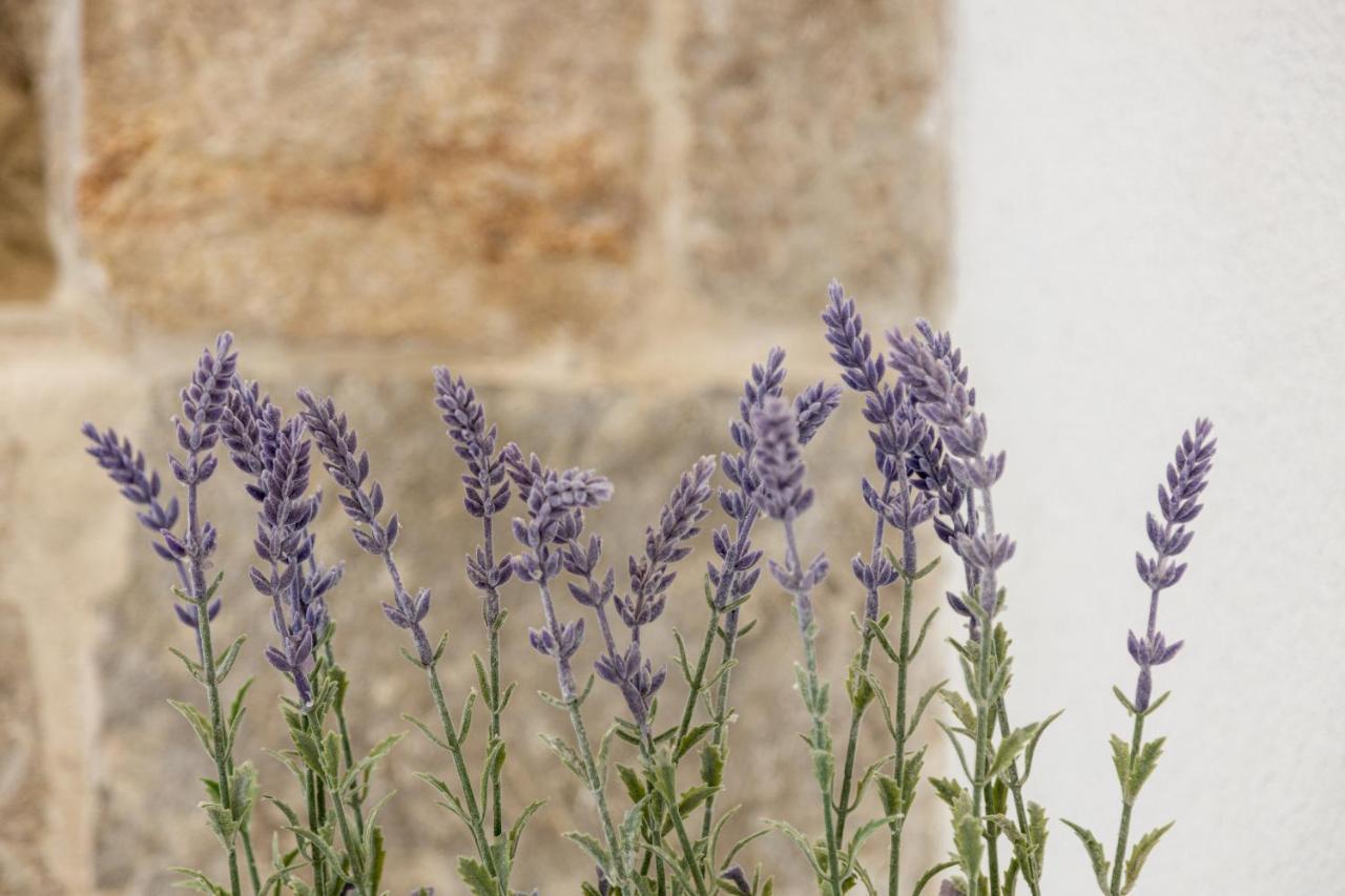 Aparrtment Terra- Combine Beach&Old Town Apartamento Split Exterior foto